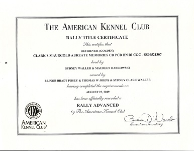 SmallPicture of Rhys earning 3rd BN leg